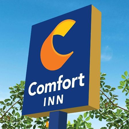 Comfort Inn Martinsville Εξωτερικό φωτογραφία