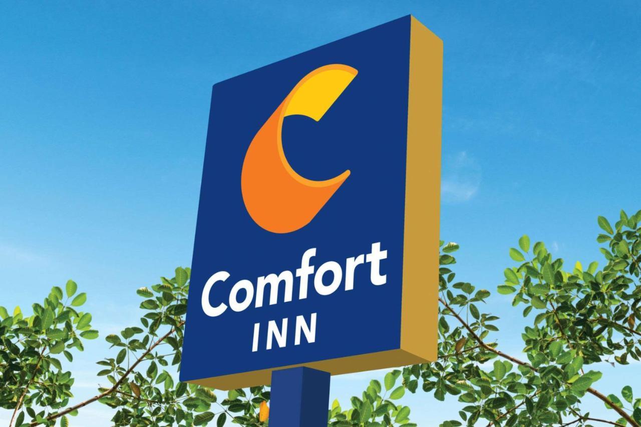 Comfort Inn Martinsville Εξωτερικό φωτογραφία